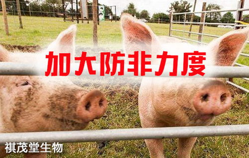 筑牢生物安全屏障 抓實(shí)關(guān)鍵措施，防控重大疫病，保障畜牧漁業(yè)飼料銷售穩(wěn)定